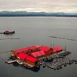 Queen Charlotte Islands