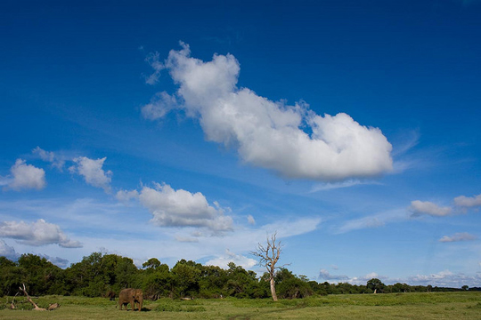Kaudulla National Park