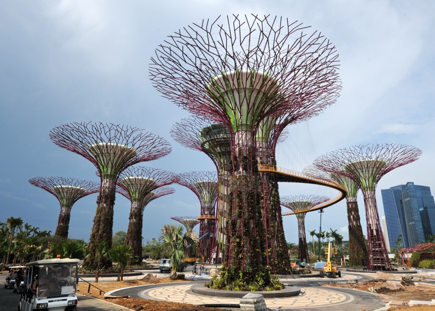 singapore_supertree