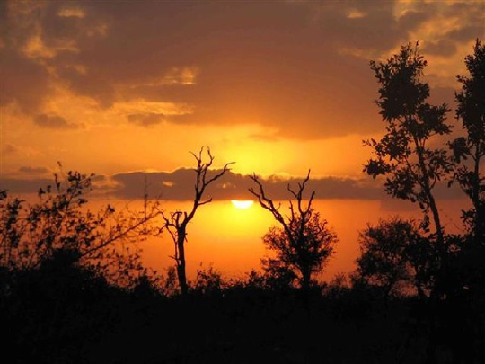 Royale Marlothi Safari Lodge