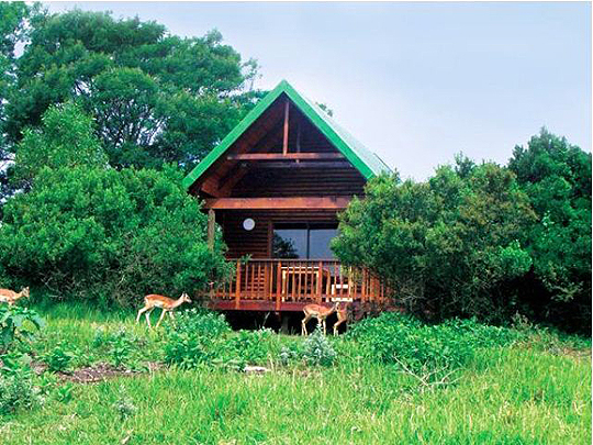 kragga kamma game park