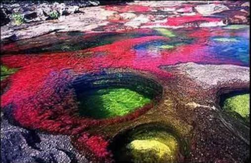cano-cristales2