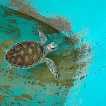 Islas los Roques Atoll National Park