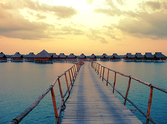 flamingo bay water lodge