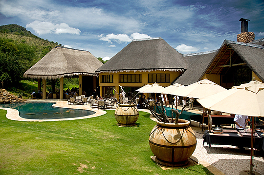 ivory tree game lodge