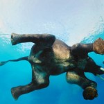 Cape Arid National Park, Western Australia