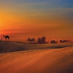  Jumeirah Bab Al Shams Desert Resort & Spa