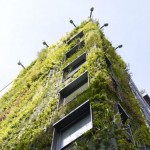 London's only living wall